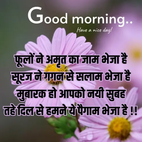 Good Morning Shayari