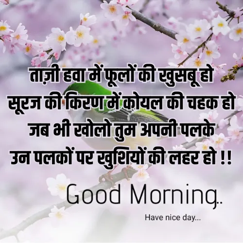 Good Morning Shayari Image